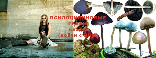 спайс Арсеньев